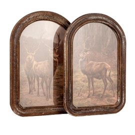 Creative Co-Op 2-Piece Wood Framed Glass Wall Décor with Stag in Forest, Multicolor