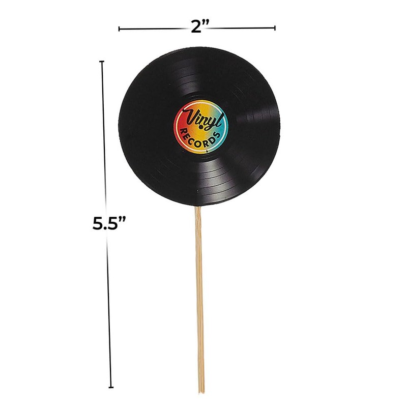 Rock Star Vinyl Record Picks – 24 Pieces