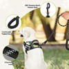Service Dog Vest Harness and Leash Set, Animire in Training