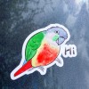 Handmade Green Cheek Conure CAR Stickers (yellow sided) Outdoor use