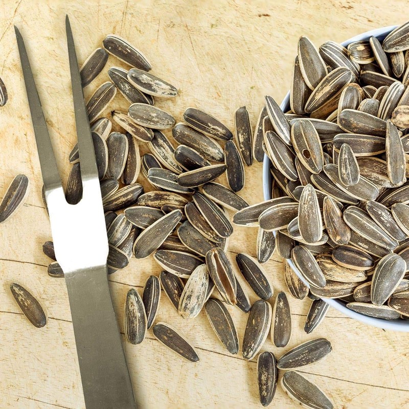 Spitz Sunflower Seeds, Salted, 6 Ounce (Pack of 9)