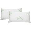 J&V TEXTILES Ultra-Luxury Bamboo Memory Foam Pillow – Hypoallergenic Bed Pillow Outer Fabric Covering 2-Pack (Standard)