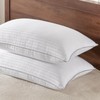 Basic Beyond Queen Size Pillows Set of 2 - Soft