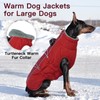 IKIPUKO Dog Coat - XS, Warm Zip Up Snowsuit Dog