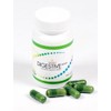 LifePharmGlobal Inc. 1 Bottle LifePharm Digestive+++ (30 counts ) --