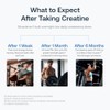 Transparent Labs Creatine HMB - Creatine Monohydrate Powder with HMB
