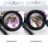 Loupe Magnifier Glasses Head Mount with LED Light Adjustable Glasses