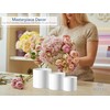 Royal Imports Flower Acrylic Vases Cylinders - Decorative Centerpiece Display