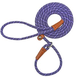 Mycicy Slip Lead Dog Leash, 1/4" x 5ft No Pull Slip-on Training Leash for Small and Medium Dogs (Purple, 1/4" x 5Ft)