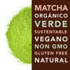 Té Matcha Orgánico en Sticks, 15 Sticks, Mayan Sweet