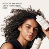 OLAPLEX Wash & Shine Hair Kit | Shampoo & Conditioner