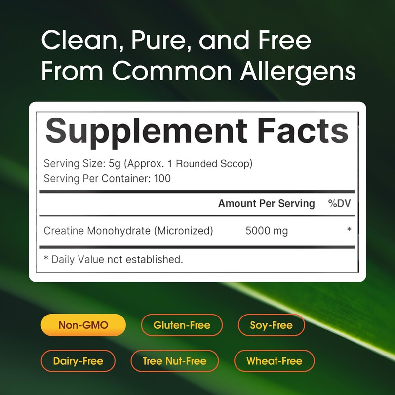 NatureBell Creatine Monohydrate Powder - 500g - Micronized Powder -