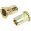 Astro Pneumatic Tool RN14 100-Piece 1/4-20 Steel Rivet Nuts