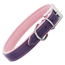 Schnüffelfreunde Fun Line Leather Dog Collar for Large, Medium and Small Dogs, Leather Collar for Dogs, Padded and Robust (L - 36-45 cm, Purple-Pink)