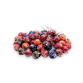 Klub Bulk Giant Classic Roll Pops 1 lb- Assorted Lollipops in Raspberry, Cherry, Chocolate, Grape, Orange, Individually Wrapped, Peanut Free, Gluten Free, and Kosher Certified, with Chocolate Center (16 oz)