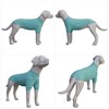 LoveLongLong Spring Summer Cooling Dog T-Shirt with UV Protection and