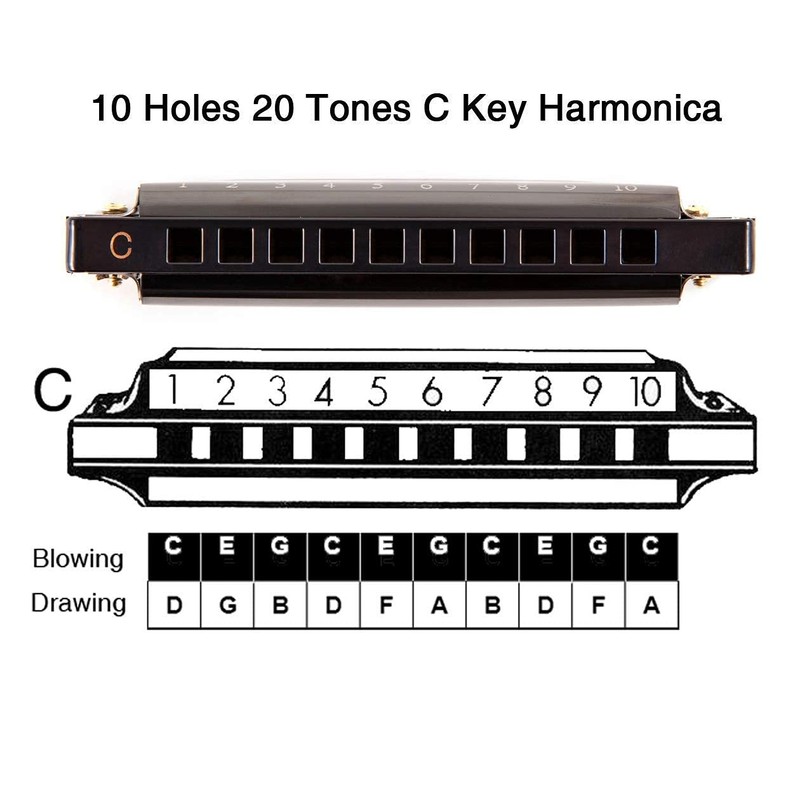 EastRock Harmonica in C Major Harmonica with Box, 10-Hole Harmonica