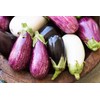 RAISE ME UP: Seeds Eggplant Long Mix Non GMO Heirloom