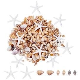 arricraft About 1543 Pcs Tiny Shells Resin Starfish, 4 Styles Resin Sea Star Mini Spiral Conch Shells Ocean Theme Vase Filler Decoration for Craft DIY