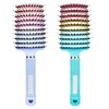 2Pcs Boar Bristle Hair Brush, Wet & Dry Hair Brushes,