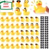 Fingertip WD 50 Pcs Rubber Ducks with Sunglasses,Squ