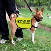 Pas De Caresses Dog Coach Gift Walking Warning Dog Jacket