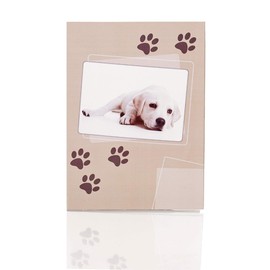 Rössler Papier 11701108000 Letter Paper Pack "Dog Paw", 165 x 235 and 90 x 177 mm, 10 Sheets and 10 Envelopes