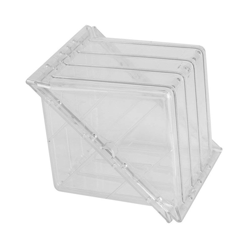 Growing Fruit, Watermelon Pumpkin Shaping, Garden Fruit Growth Forming Tool