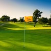 COGOLFING Standard TheOpen Golf Flag, Tube Insert, 14x20 Inch 420D