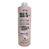 Lendan Terra Shampoo Volume 1lt