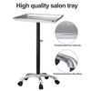 Salon Tray with Metal Feet, Height Adjustable Salon Tray on