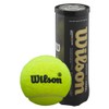 Wilson Unisex Adult Premier Padel Paddle Balls Yellow 2 Packs