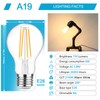 Ascher 60 Watt Equivalent, E26 LED Filament Light Bulbs, Warm