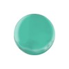 L.A. Girl ColorPop Nail Polish (Peacock #833)