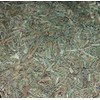 Organic Horsetail Dried Herb (Equisetum arvense) (50g)