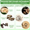 1+1 Big Snake Enrichment Rings for Ball Python, Climbing Toys