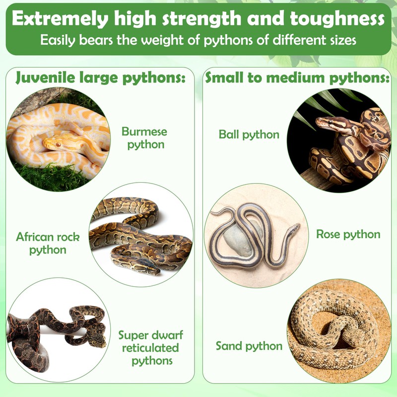 1+1 Big Snake Enrichment Rings for Ball Python, Climbing Toys
