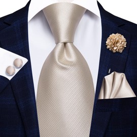 Hi-Tie Silk Men's Tie and Pocket Square Cufflinks Lapel Pin Set Jacquard Wedding Business Necktie for Formal,Beige