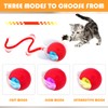 Chewie Rolling Ball, 2 Pack Chewie Ball for Cats, Interactive