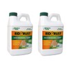 American Hydro Systems RR2 Rid O' Rust Stain Preventer Extreme