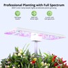 Nuoya 12 Pods Hydroponic System Grow Kit, Indoor Garden Hydroponic