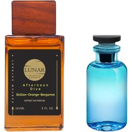 Afternoon Dive : Unisex Fragrance Inspired by Afternoon Swim | Long-Lasting Concentrated Eau de Parfum for Men and Women | Niche Cologne | Luxury Perfume (30ml)