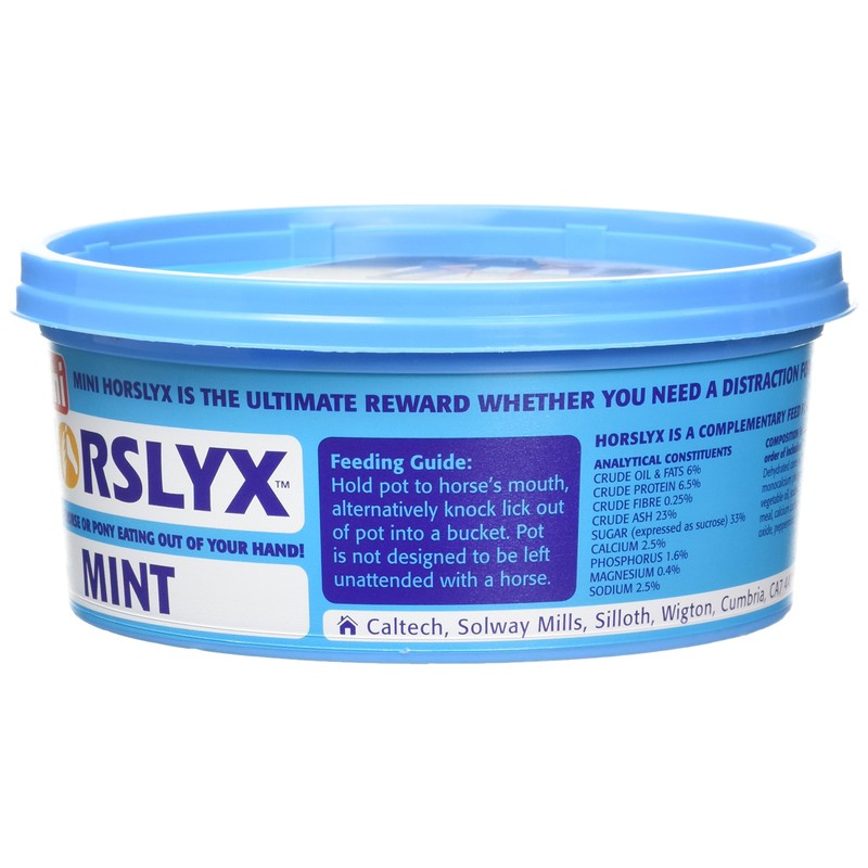 Mini Horslyx Licking Mass, Horse Supplement, Mint 650 g