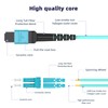 2M MPO/MTP to 8 x LC (4 Duplex) 8 Strands
