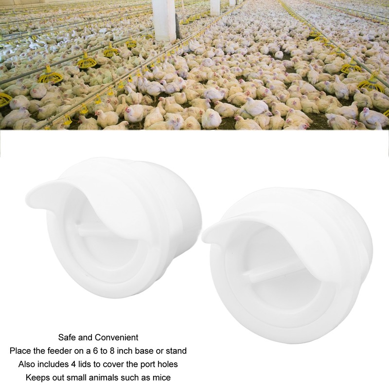Poultry Feeders Rainproof Reduce Waste Chicken Duck DIY Gravity Feeder