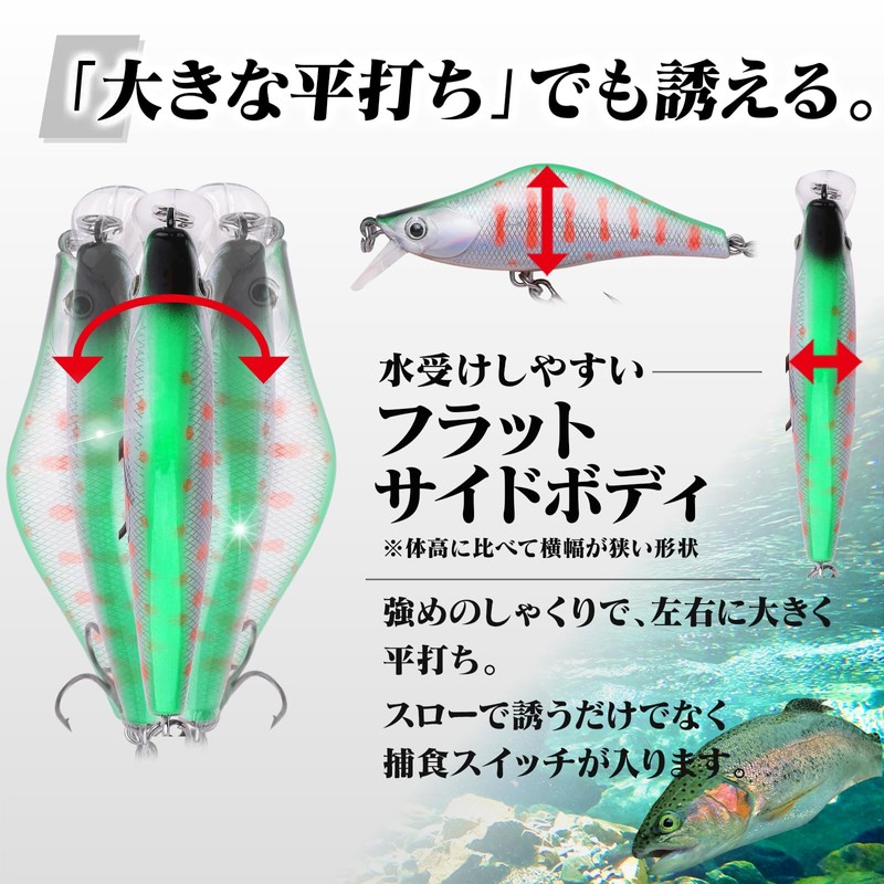 CONTYU Mountain Stream Minnow Set of 5 Slow Inducing Trout