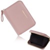 Pomelo Best Credit Card Case, Card Holder, Commuter Holder, Skimming