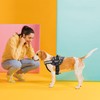 Dogline Unimax Dog Harness Vest with Therapy Dog Patches Reflective