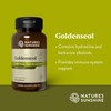 Nature's Sunshine Golden Seal, 100 Capsules