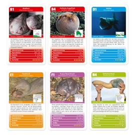 Das Kuriose Kreaturen Quartett | Die sonderbarsten Tiere der Welt im Duell | Tier-Quartett der besonderen Art!